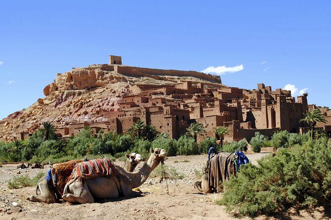 Private Day tour From Marrakech to Ouarzazate and Ait Ben Haddou - Why This Tour Might Be Perfect for You