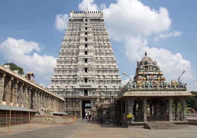 Private Day Tour from Pondicherry to Tiruvannamalai - Who Is This Tour Best For?