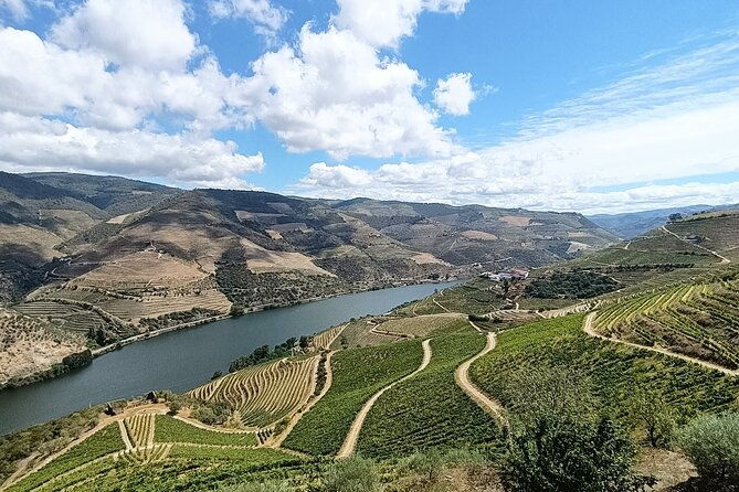 private-day-tour-from-porto-to-douro-valley