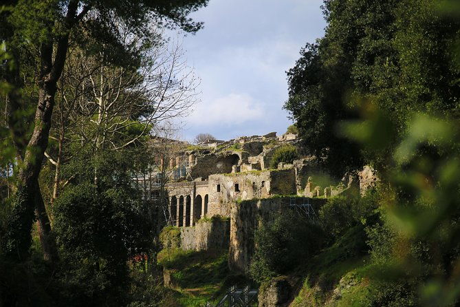 private-day-tour-from-rome-to-pompeii-and-herculaneum-with-hotel-pick-up