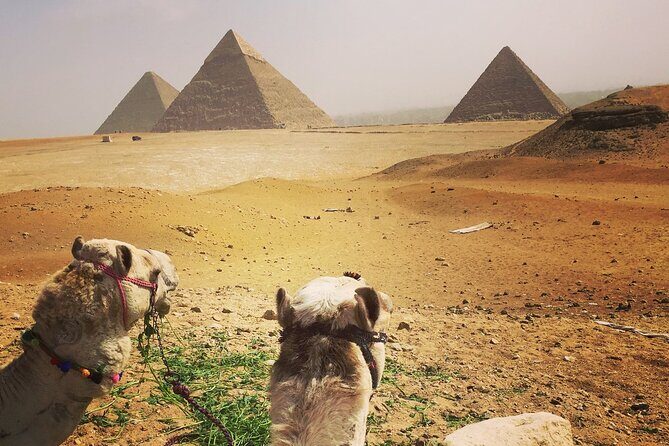 Private day tour Giza pyramids,camel ride,sphinx,Sakkara, Memphes - What’s Included and What’s Not
