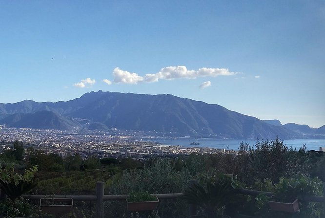 private-day-tour-herculaneum-and-wine-tasting