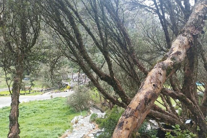 private-day-tour-in-cuenca-and-cajas