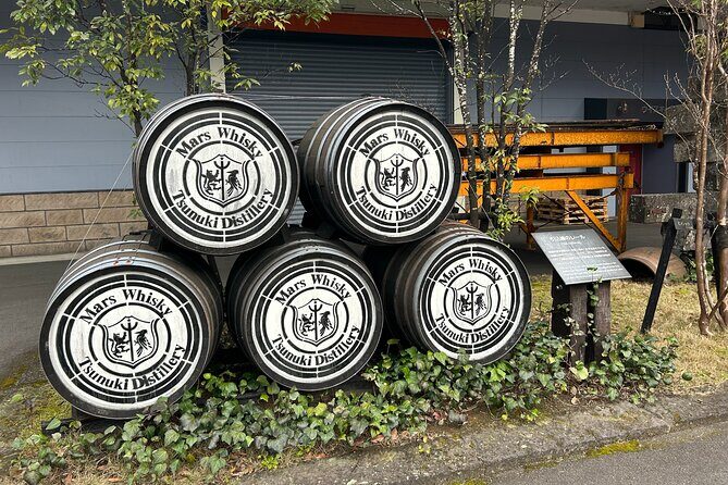 Private Day Tour in Kagoshima - Lake Ikeda