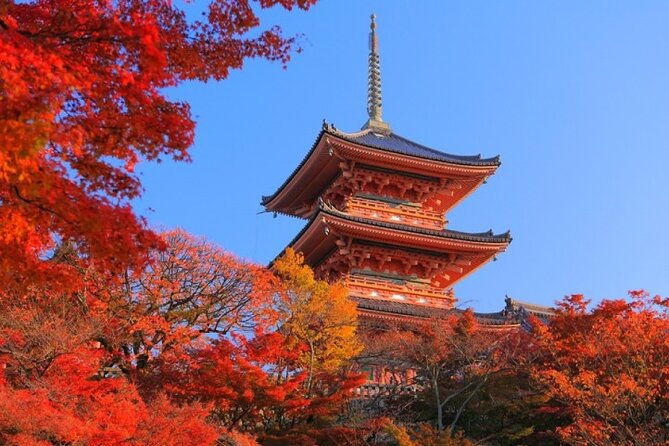 private-day-tour-in-osaka-and-kyoto-with-charter-car