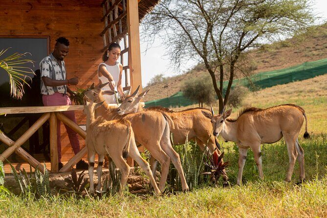 Private Day Tour in Serval Wildlife and Kikuletwa Hot Spring - Key Points