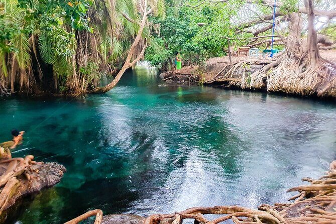Private Day Tour in Serval Wildlife and Kikuletwa Hot Spring - FAQ