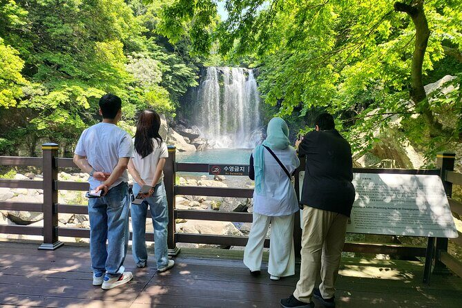 Private Day Tour in South in Jeju Island - The Sum Up