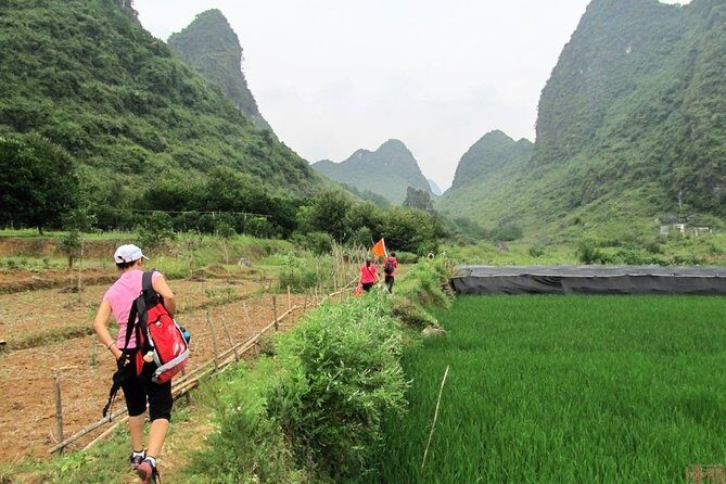 Private Day Tour in Yangshuo: Biking, Li River Boat, and Lunch - Logistics and Practical Tips
