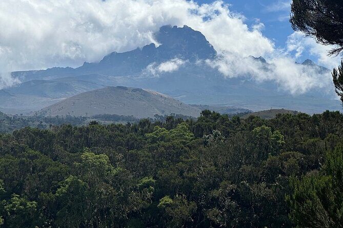 Private Day Tour Kilimanjaro Hike - Final Thoughts: Is It Worth It?