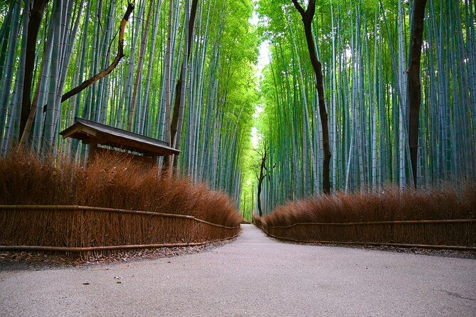 private-day-tour-kyoto-arashiyama-bamboo-forest-perfect-tour