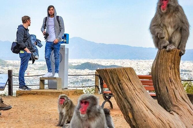 private-day-tour-kyoto-arashiyama-bamboo-forest-perfect-tour