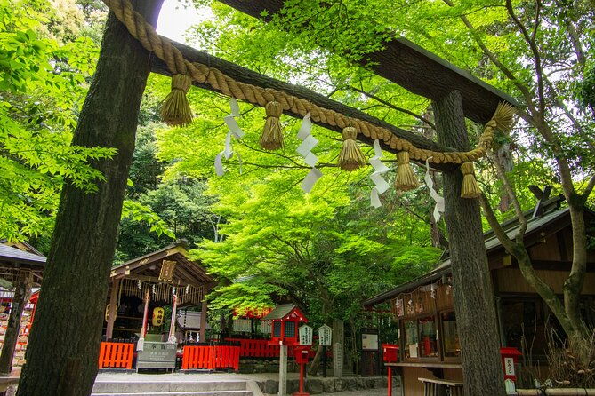 private-day-tour-kyoto-arashiyama-bamboo-forest-perfect-tour