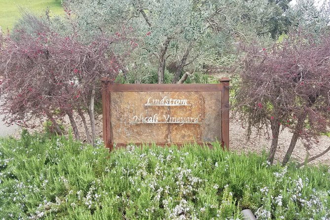 private-day-tour-napa-valley-wine-tasting-from-san-francisco-6hrs