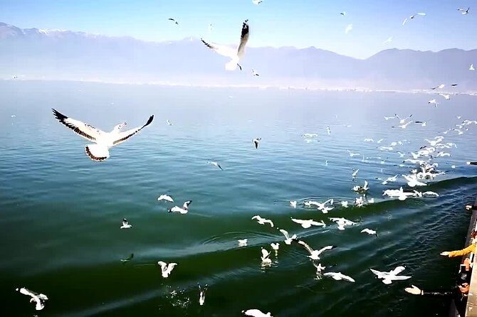 Private Day Tour of Dali Explore the Ancient City - Practical Details and What to Expect