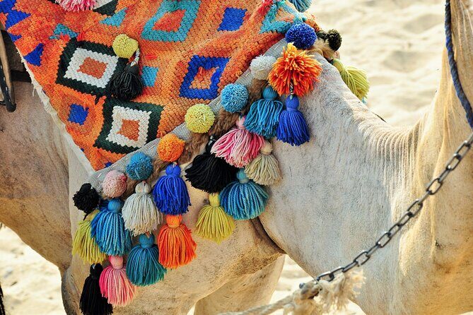 Private Day Tour of Giza Pyramids, Egyptian Museum, and Bazaar" - FAQs