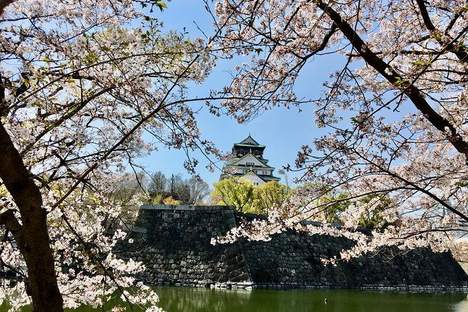 private-day-tour-of-historic-osaka