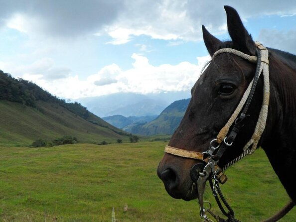 private-day-tour-of-jardin-with-horseback-ride-and-coffee-villa-from-medellin
