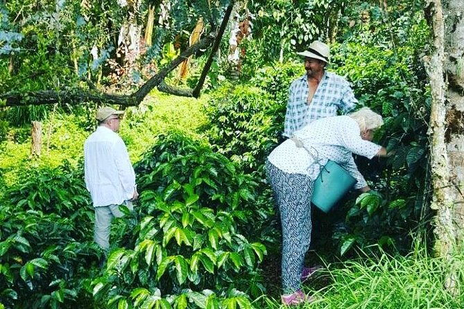 private-day-tour-of-jardin-with-horseback-ride-and-coffee-villa-from-medellin
