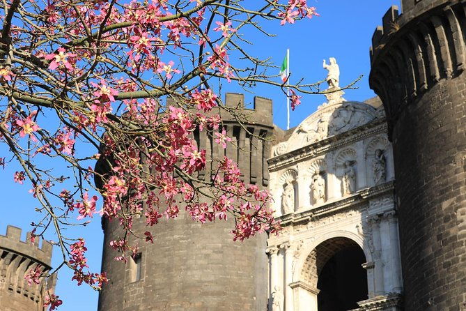 private-day-tour-of-naples-from-sorrento