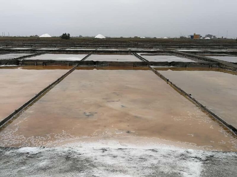 Private day tour of Olive Oil , Salt Flats and Winery - An Authentic Day Exploring Portugal’s Olive Oil, Salt Flats, and Vineyards