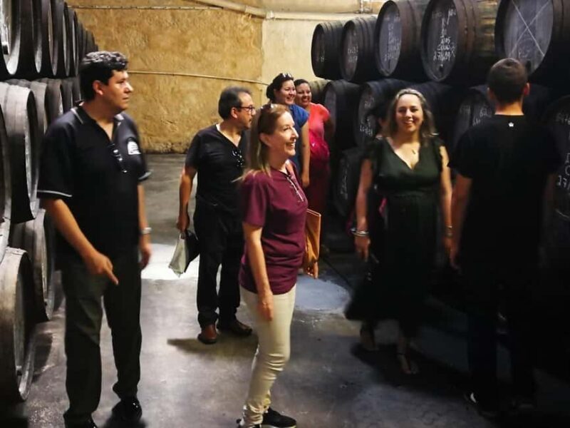 Private day tour of Olive Oil , Salt Flats and Winery - Key Points