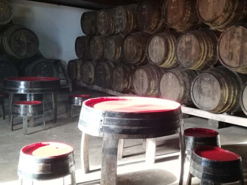 Private day tour of Olive Oil , Salt Flats and Winery - What Makes This Tour Stand Out