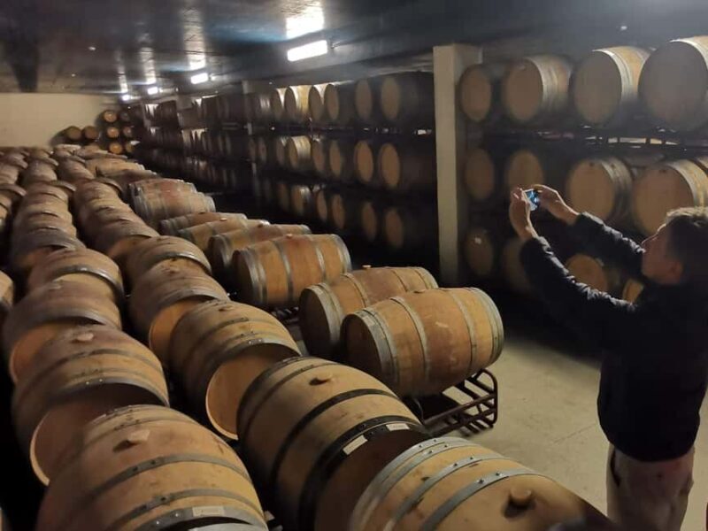 Private day tour of Olive Oil , Salt Flats and Winery - Who Will Love This Tour?