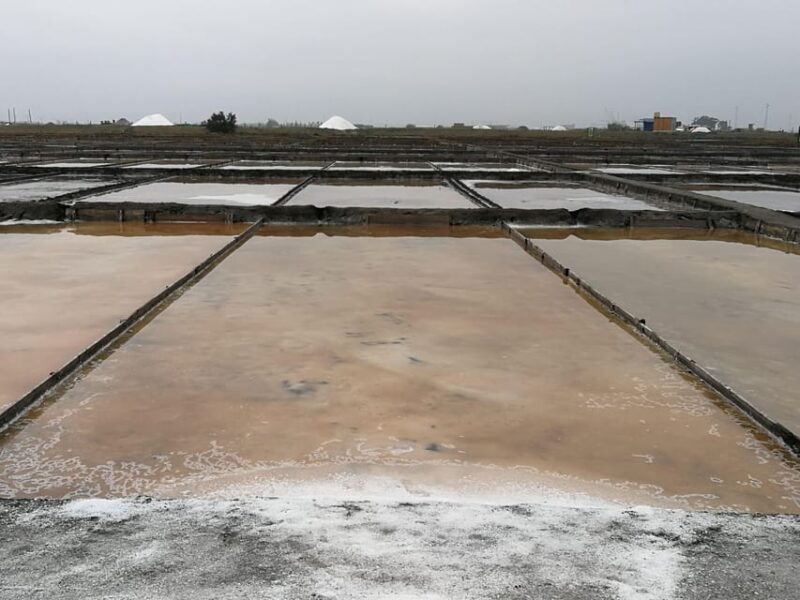 private-day-tour-of-olive-oil-salt-flats-and-winery