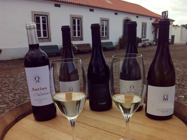 private-day-tour-of-olive-oil-salt-flats-and-winery