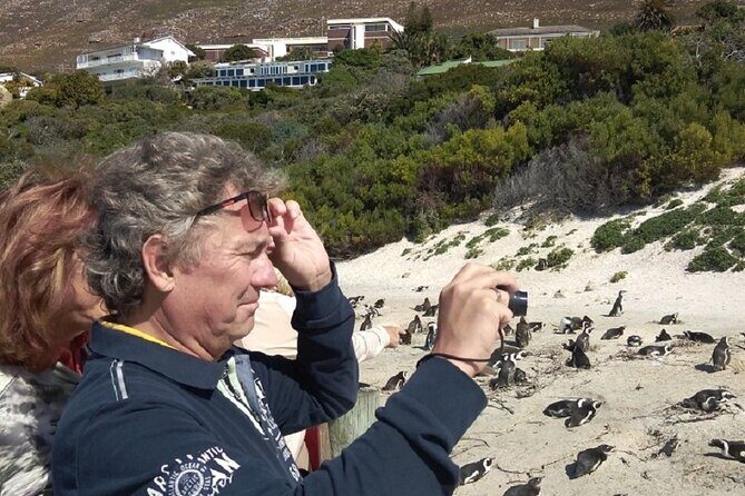 Private Day tour of the Cape. Our reviews show why people book! - FAQs