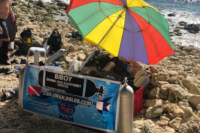 Private Day Tour: Oslob Whaleshark+Tumalog Falls(Sumilon Island) - Final Words