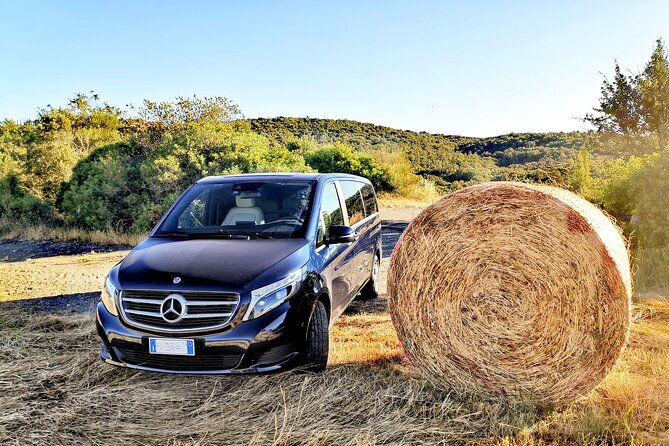 private-day-tour-pisa-and-lucca-from-florence-2