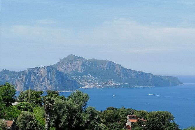 private-day-tour-pompeivesuvius-and-herculaneum-2