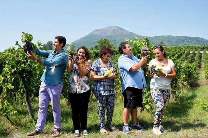 private-day-tour-sorrento-positano-amalfi-and-ravello