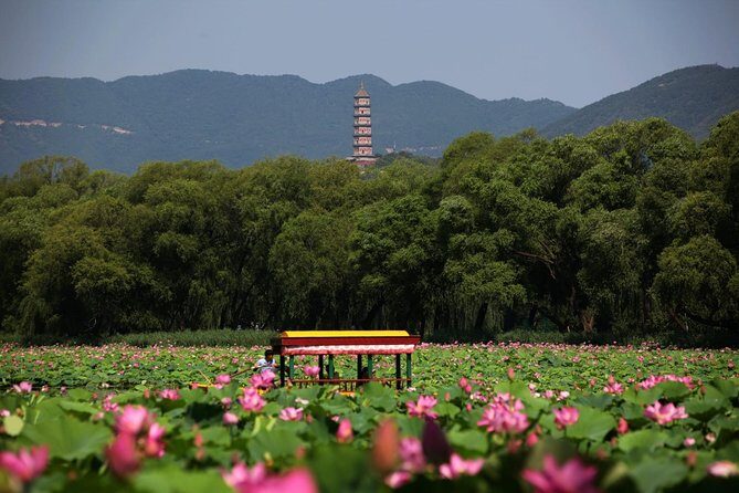 Private Day Tour: Summer Palace and Old Summer Palace in Beijing - Final Thoughts