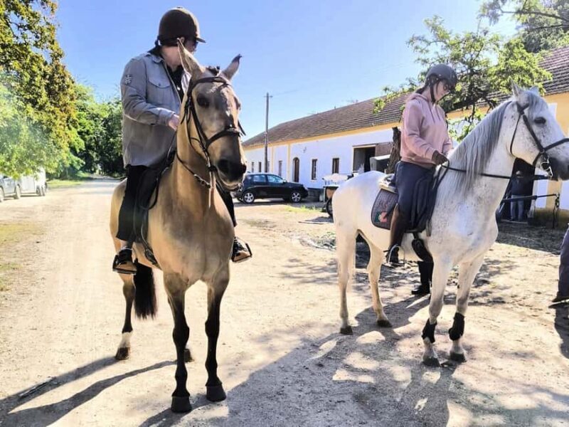 Private Day Tour Tagus River, olive oil, winery and horses - Analyzing the Value and Practicalities