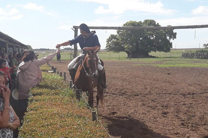 private-day-tour-to-a-traditional-estancia