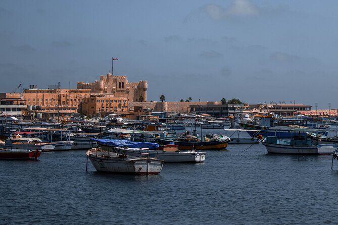 Private Day Tour to Alamein and Alexandria From Cairo - A Detailed Look at the Tour Experience