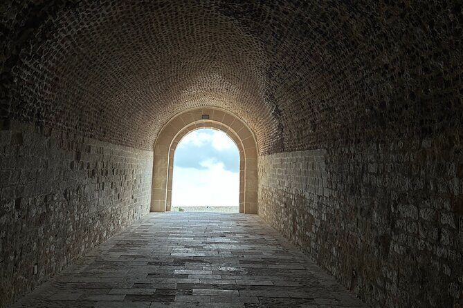 Private Day Tour to Alexandria from Cairo - Detailed Breakdown of the Tour Experience