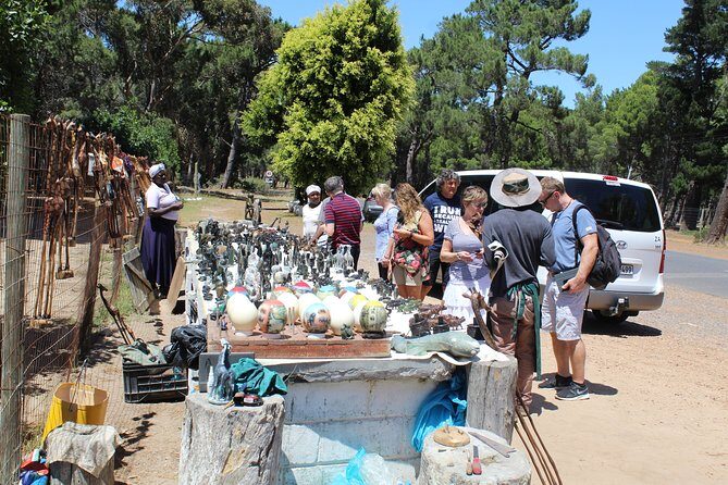 Private Day Tour to Cape of Good Hope Penguins Inc Entry Tickets from Cape Town - Key Points
