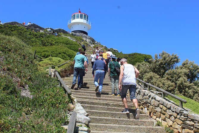 Private Day Tour to Cape of Good Hope Penguins Inc Entry Tickets from Cape Town - Is This Tour Worth It?