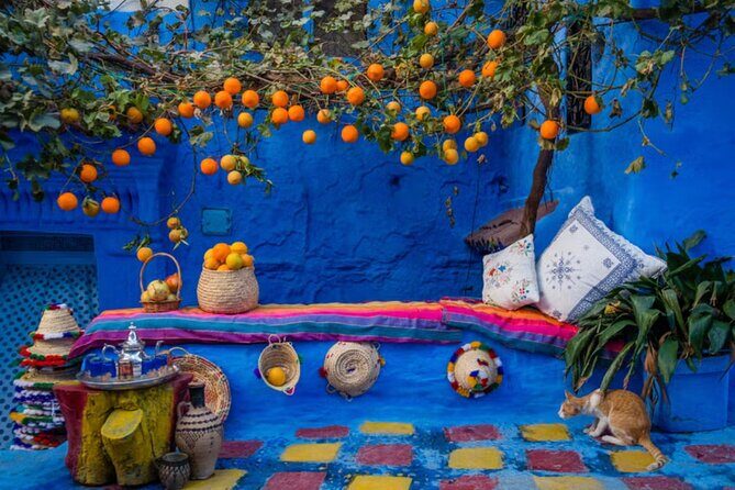 Private Day Tour to Chefchaouen and Akchour Waterfalls - Final Thoughts