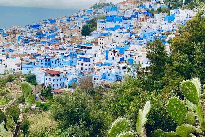 private-day-tour-to-chefchaouen-from-tangier