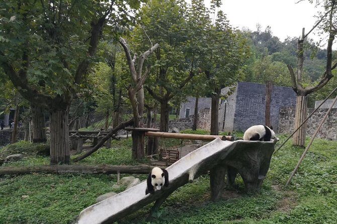 Private Day Tour to Chengdu Panda Base by Round-way Bullet Train from Xian - Frequently Asked Questions (FAQs)