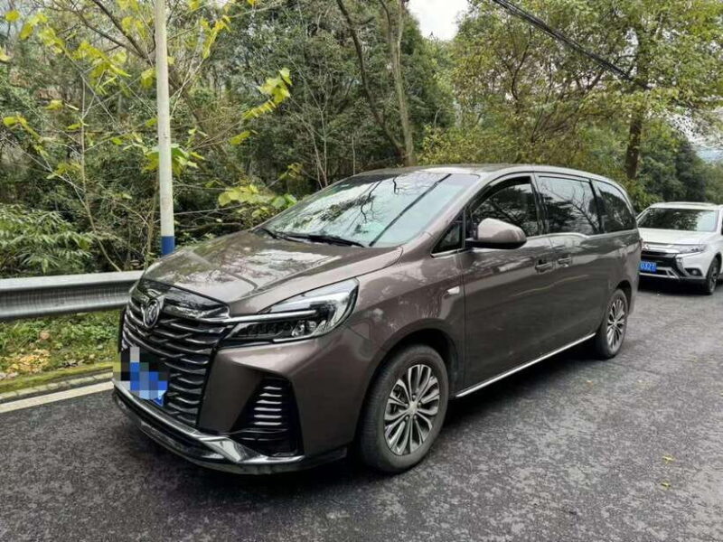 Private Day Tour to Dujiangyan & Mount Qingcheng - The Sum Up