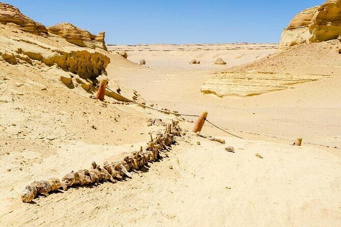 Private Day Tour To El Fayoum From Cairo - Knowledgeable Guides
