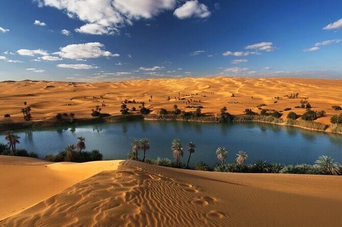 Private Day Tour To El Fayoum From Cairo - Diversity of Sights