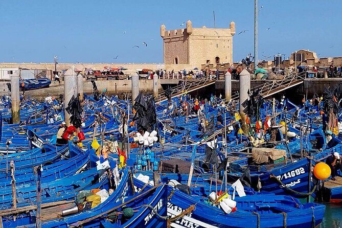 Private Day Tour to Essaouira from Marrakech - Who Would Enjoy This Tour?