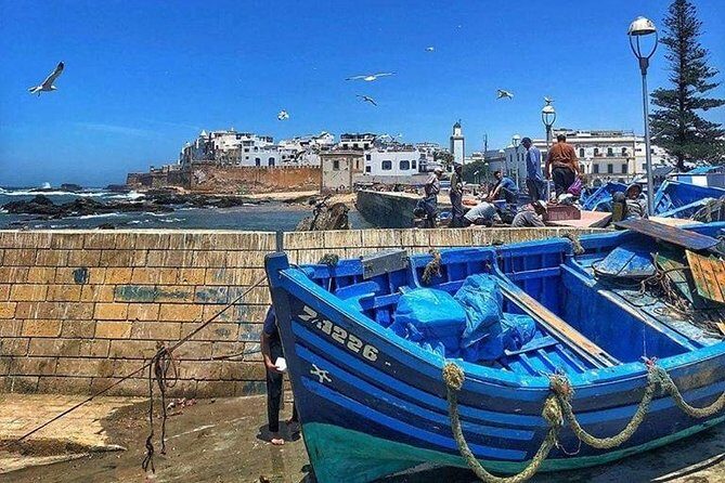 Private day tour to Essaouira from Marrakech - Key Points
